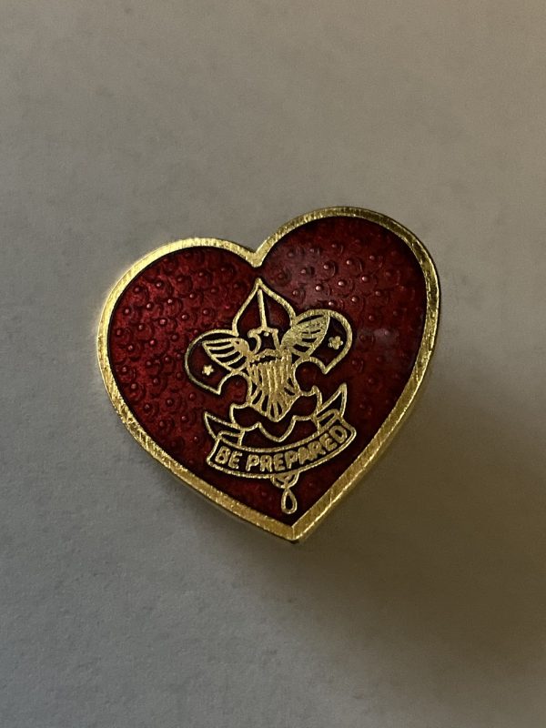 5 Pin Lot - Boy Scouts of America & Desert Shield Pins