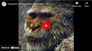Sasquatch Vocalizations and Sounds – Part 1