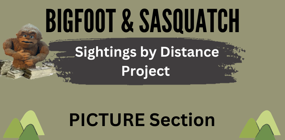 Bigfoot Sightings – Picture Section