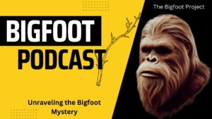 The Bigfoot Podcast