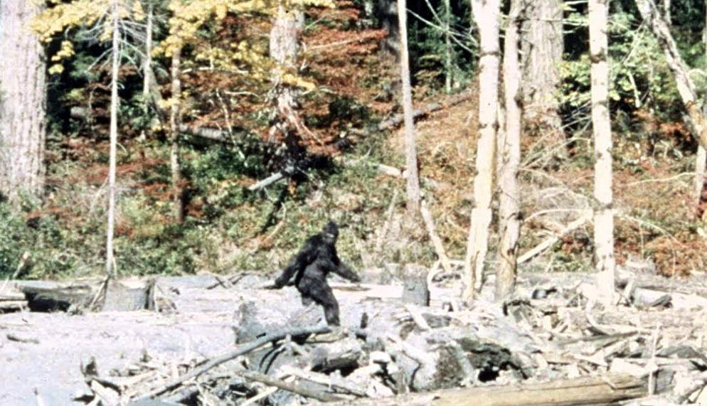 Gimlin Patterson Bigfoot Enhanced Picture