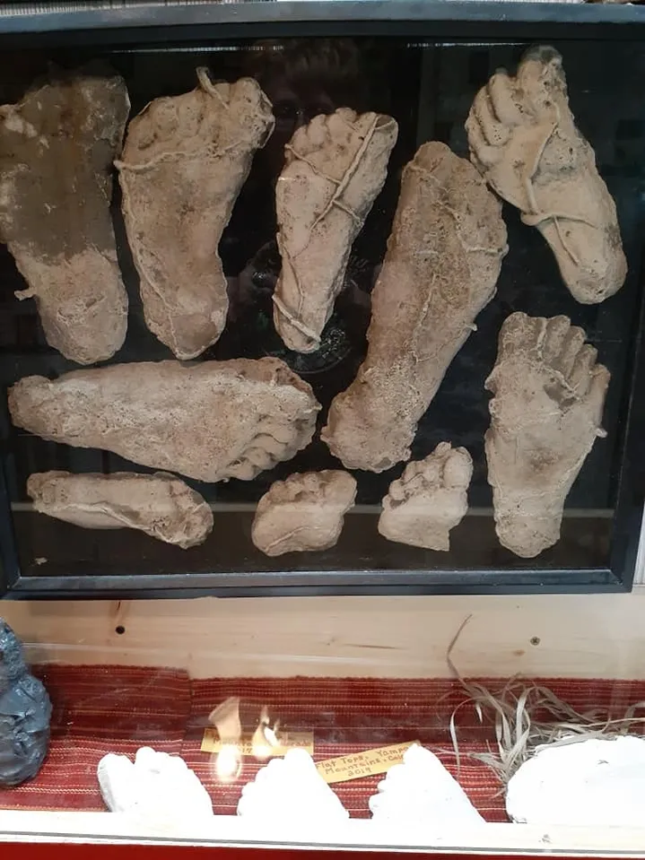 Nebraska Bigfoot Museum